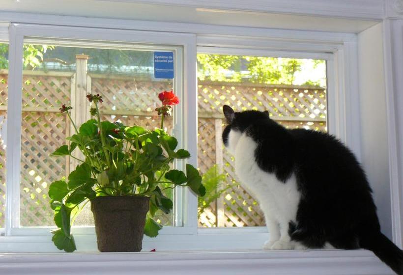 B&b La Bedondaine | Quebec | Quebec | Canada 12