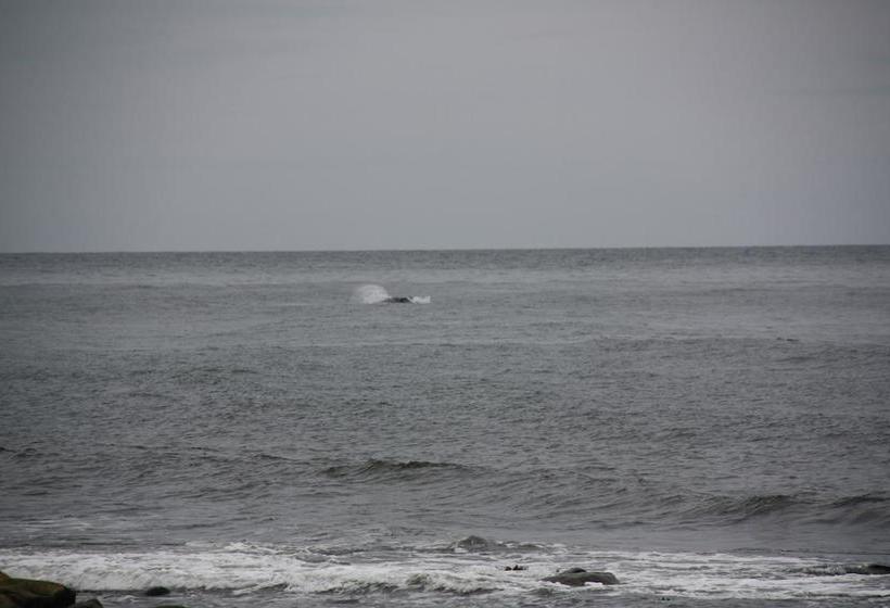 Bed and Breakfast La Maison Entre Mer Montagnes | Cap-Chat | Quebec | Canada 12