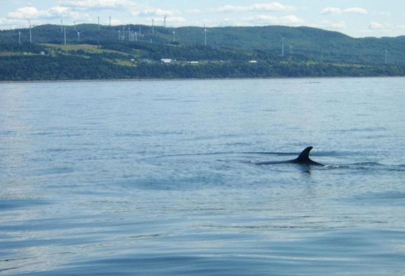 Bed and Breakfast La Maison Entre Mer Montagnes | Cap-Chat | Quebec | Canada 5