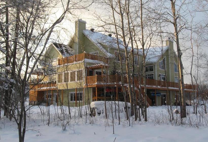 Bed and Breakfast Le Gite Du Huart