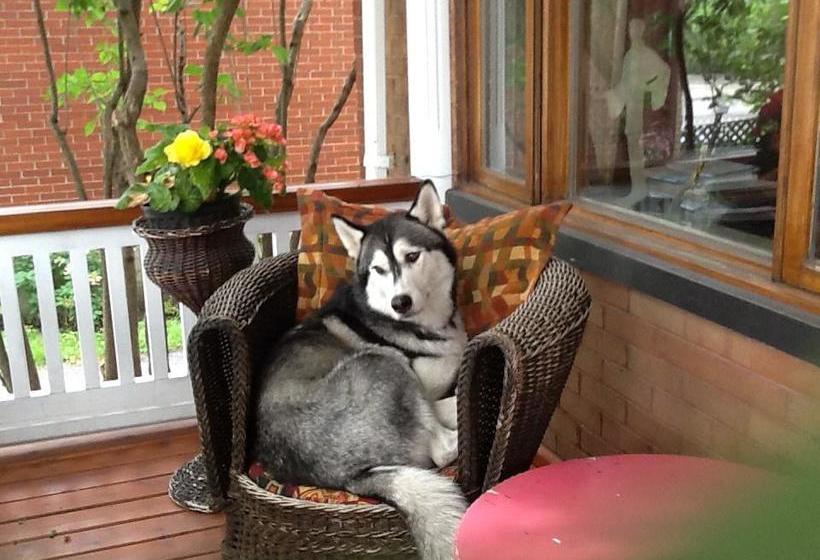 Bed and Breakfast Aux Années Folles | Quebec | Quebec | Canada 6