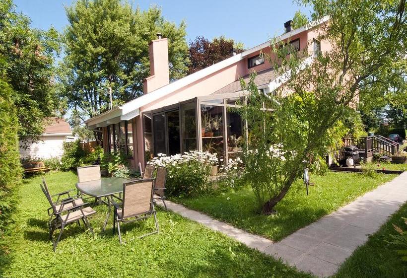 Bed and Breakfast Gîte Au Rêve Fleuri