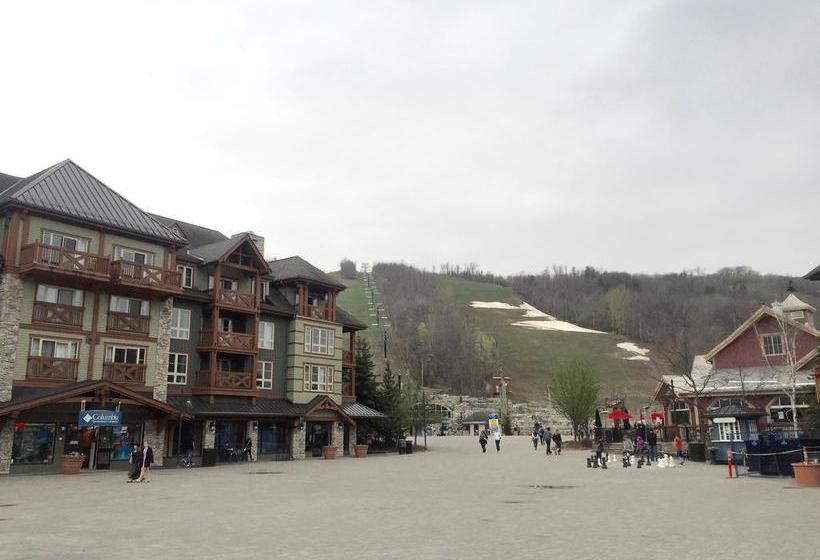 Resort Ski Blue | Blue Mountains | Ontario | Canada 12