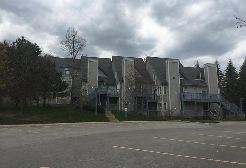 Resort Ski Blue | Blue Mountains | Ontario | Canada 16