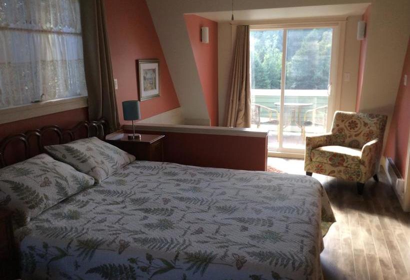 Bed and Breakfast Carrolls Green | Holyrood | Newfoundland and Labrador | Canada 3