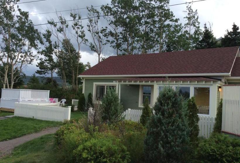 Bed and Breakfast Carrolls Green | Holyrood | Newfoundland and Labrador | Canada 8