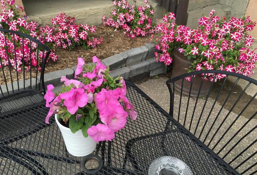 Motel Dockside Inn | Cold Lake | Alberta | Canada 2