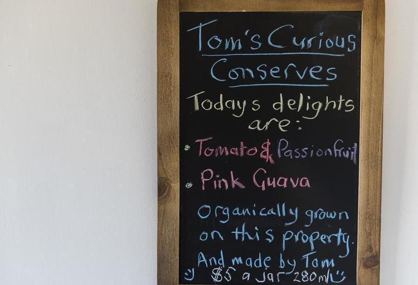 Alkira Bed & Breakfast | Coffs Harbour | New South Wales | Australia 12