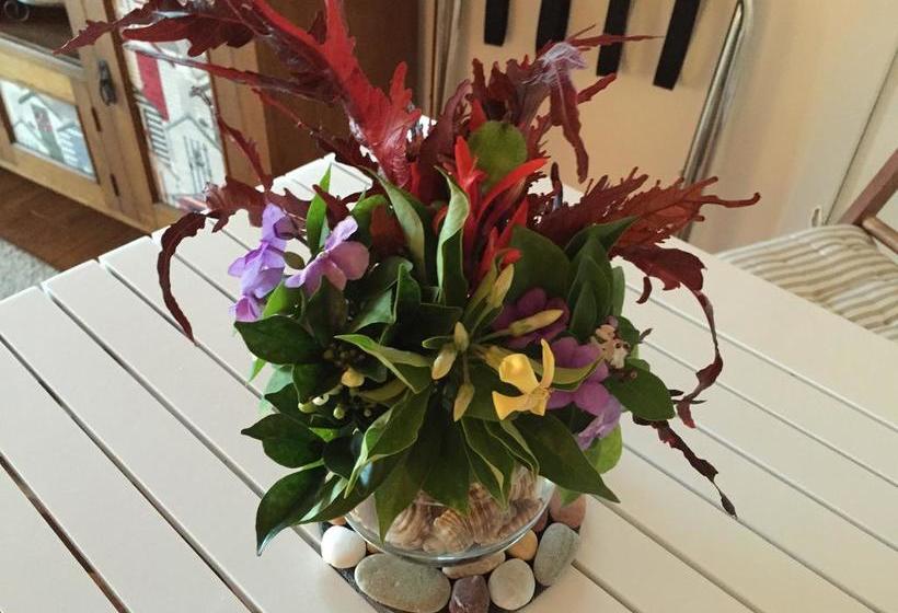 Alkira Bed & Breakfast | Coffs Harbour | New South Wales | Australia 16