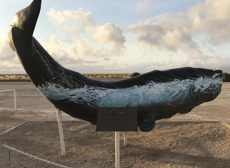 Hotel Nullarbor Roadhouse | Nullarbor | South Australia | Australia 7