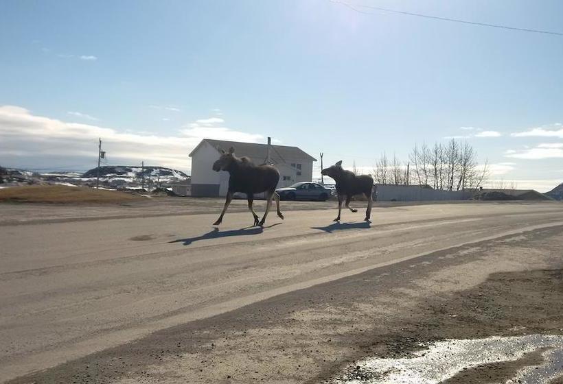 Grenfell Heritage Hotel & Suites | St. Anthony | Newfoundland and Labrador | Canada 19