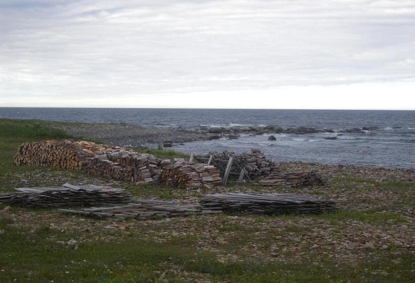 Wildberry Country Lodge B&b | St. Anthony | Newfoundland and Labrador | Canada 13