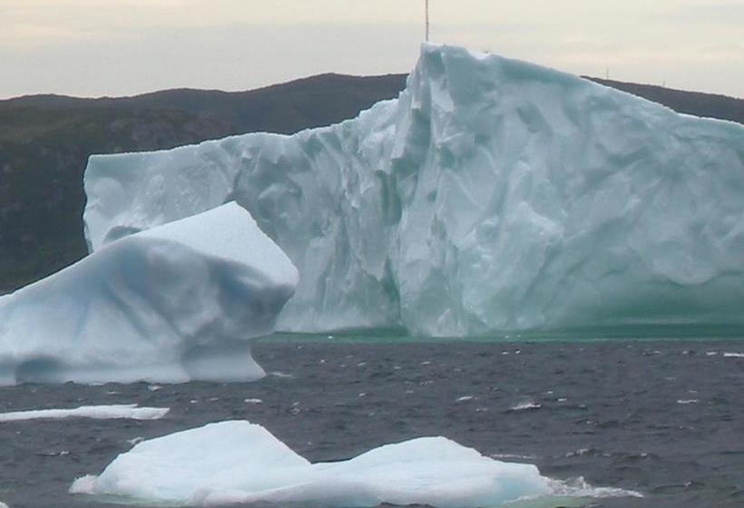 Wildberry Country Lodge B&b | St. Anthony | Newfoundland and Labrador | Canada 9