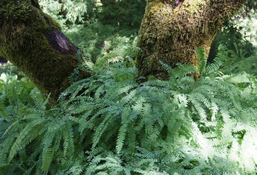 Bed and Breakfast Five Baers Farm | Chilliwack | British Columbia | Canada 4