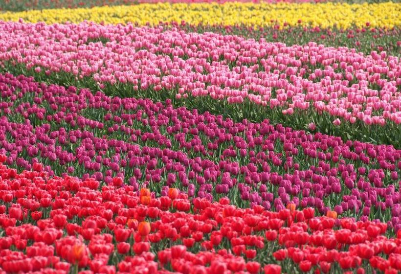 Bed and Breakfast Five Baers Farm | Chilliwack | British Columbia | Canada 7