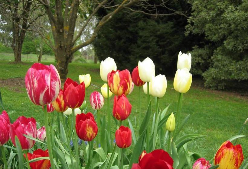 Clifton Gardens B&b | Orange | New South Wales | Australia 1