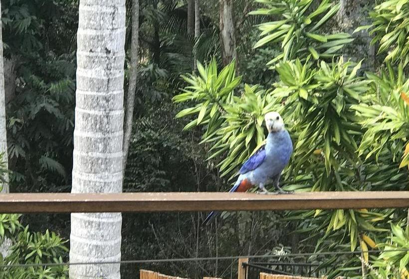 Bed and Breakfast Casa Della Pace | Buderim | Queensland | Australia 16