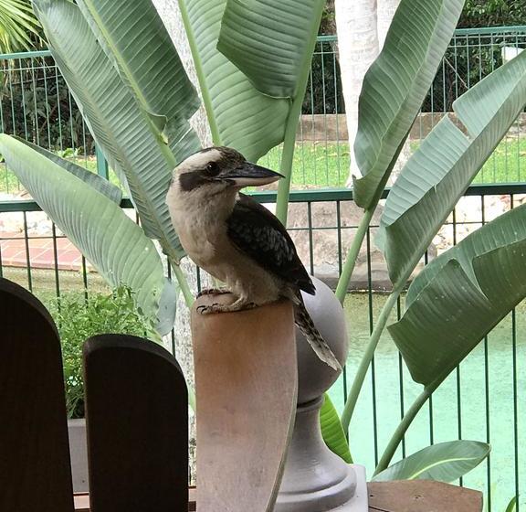 Bed and Breakfast Casa Della Pace | Buderim | Queensland | Australia 19