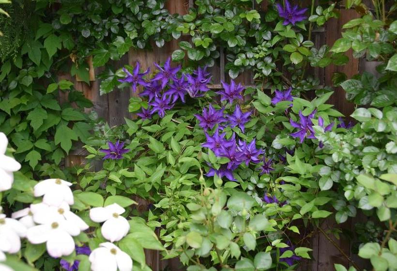 Rose Haven B & B Ontario