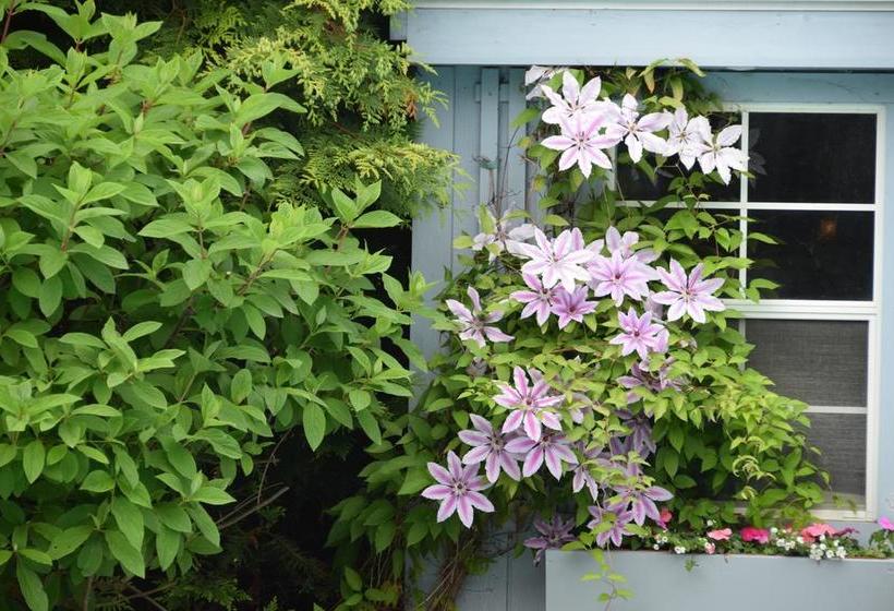 Rose Haven B & B | Niagara on the Lake | Ontario | Canada 16