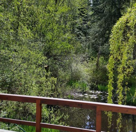 Starhouse Bed & Breakfast | Port Alberni | British Columbia | Canada 10