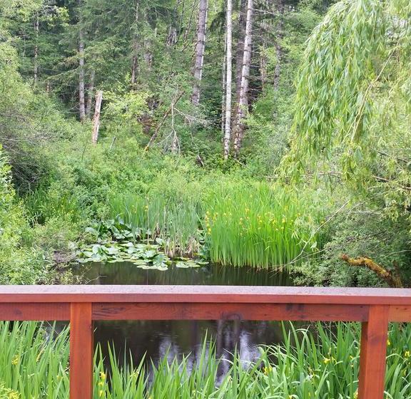 Starhouse Bed & Breakfast | Port Alberni | British Columbia | Canada 12