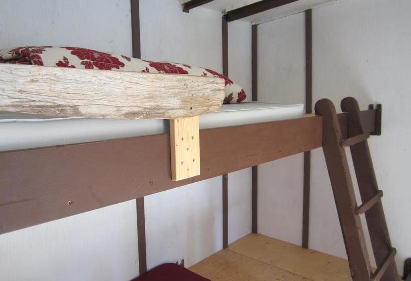 Dawson City River Hostel | Dawson City | Yukon Territory | Canada 7