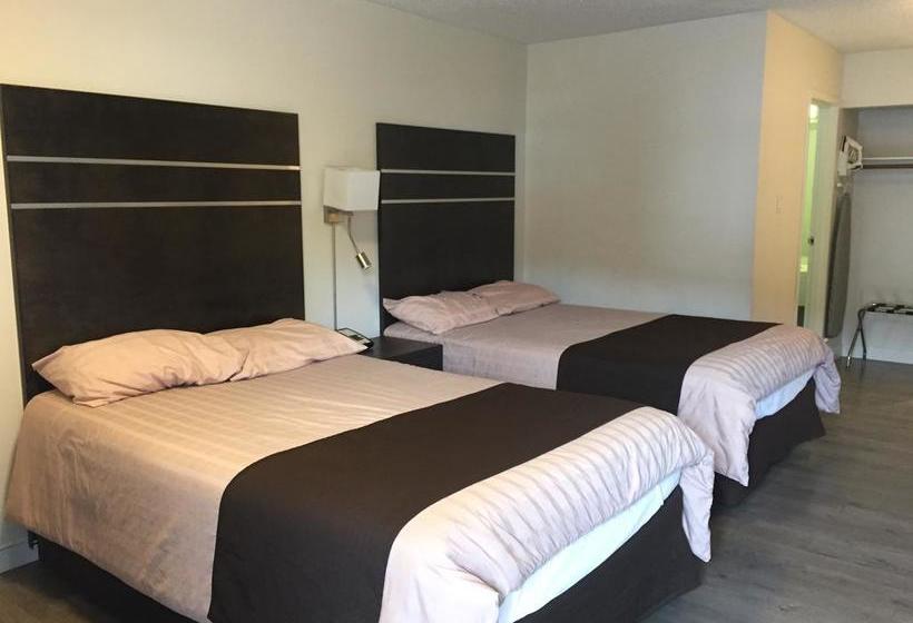 Hotel Bear Country Inn | Terrace | British Columbia | Canada 17