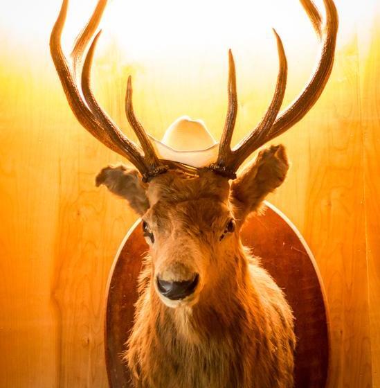 Fernie Hotel And Pub | Fernie | British Columbia | Canada 15