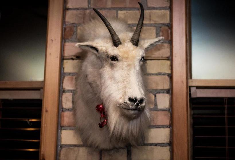 Fernie Hotel And Pub | Fernie | British Columbia | Canada 2