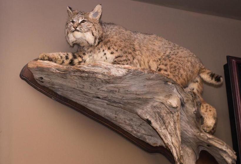 Fernie Hotel And Pub | Fernie | British Columbia | Canada 7