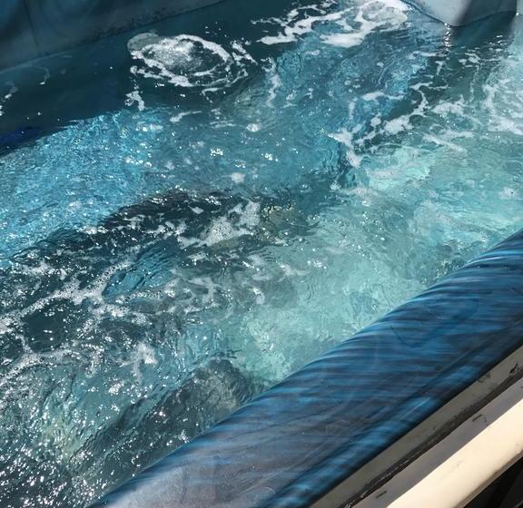 Bed and Breakfast The Cottage | Brighton | Ontario | Canada 8