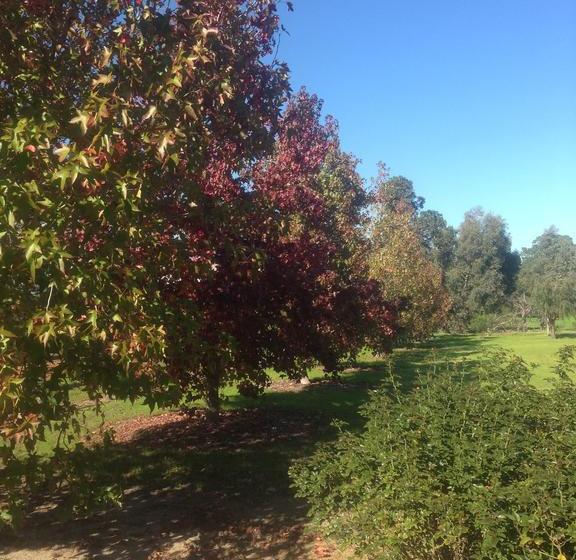 Swan Valley View B&b | Upper Swan | Western Australia | Australia 17