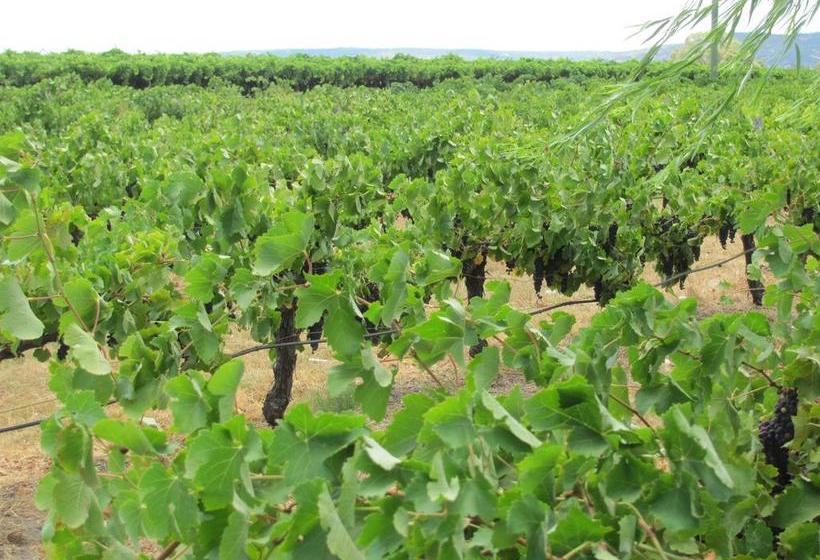 Swan Valley View B&b | Upper Swan | Western Australia | Australia 4