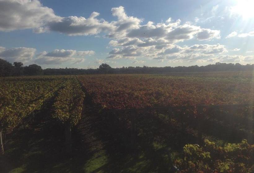 Swan Valley View B&b | Upper Swan | Western Australia | Australia 5