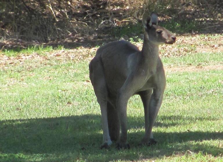 Swan Valley View B&b | Upper Swan | Western Australia | Australia 7