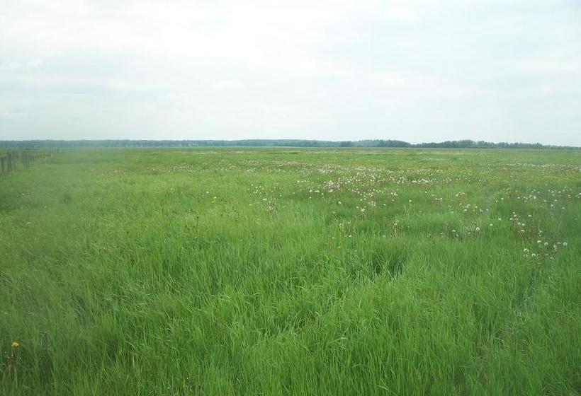 Bed and Breakfast Muriel Creek Ranch House | Cold Lake | Alberta | Canada 3