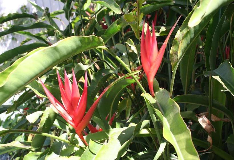 Bed and Breakfast Scarborough Beach Break Holidays | Scarborough | Queensland | Australia 9