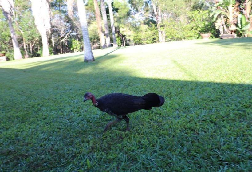 Bed and Breakfast The Hideaway | Seventeen Seventy | Queensland | Australia 6