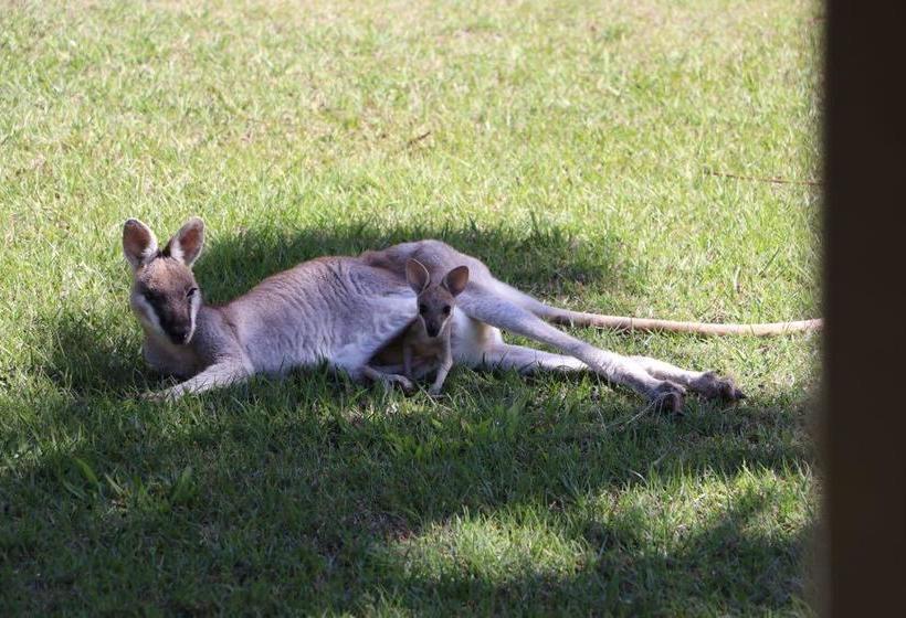 Bed and Breakfast The Hideaway | Seventeen Seventy | Queensland | Australia 7