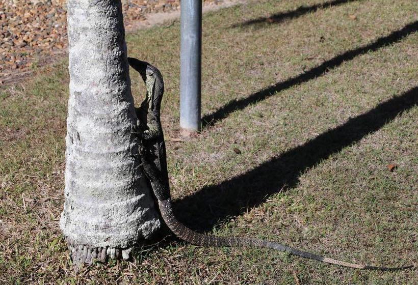 Bed and Breakfast The Hideaway | Seventeen Seventy | Queensland | Australia 8