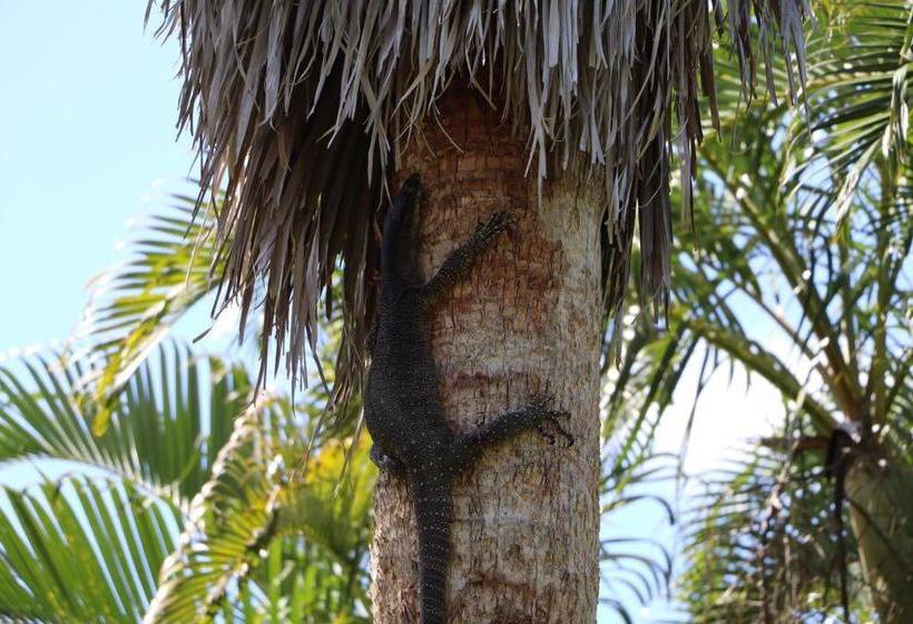 Bed and Breakfast The Hideaway | Seventeen Seventy | Queensland | Australia 9