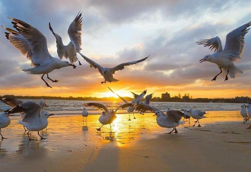 Hotel 17 North Street Budget Accommodation | Caloundra | Queensland | Australia 13