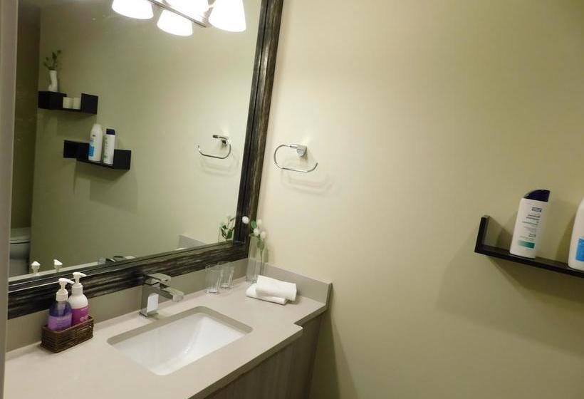 Bed and Breakfast Bay View House | Vancouver | British Columbia | Canada 16