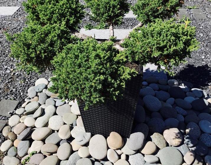 Bed and Breakfast Bay View House | Vancouver | British Columbia | Canada 20