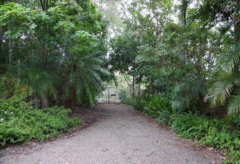 Bed and Breakfast Jacaranda Lodge | Springwood | Queensland | Australia 11