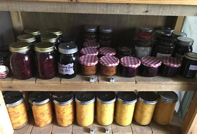 Bed and Breakfast Dingup House | Manjimup | Western Australia | Australia 3