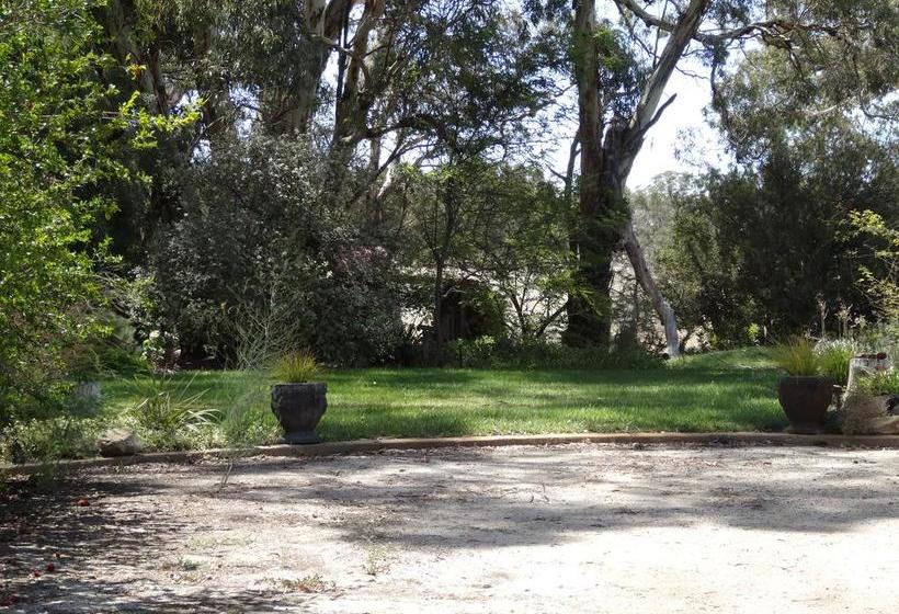 Mapperley Bed And Breakfast | Bordertown | South Australia | Australia 15