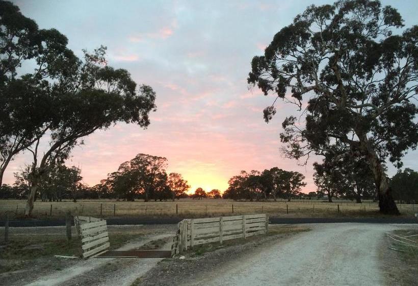 Mapperley Bed And Breakfast | Bordertown | South Australia | Australia 17