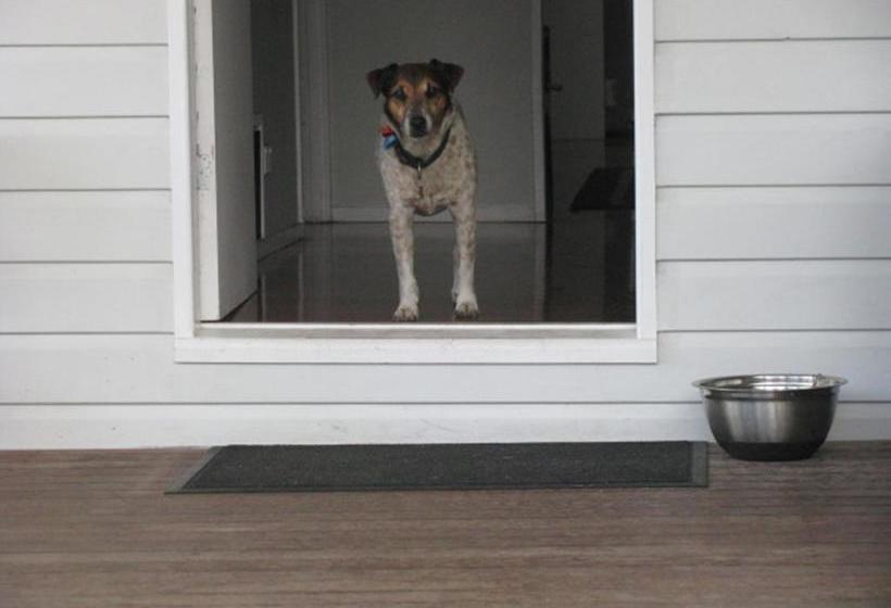 Bed and Breakfast The Red Sparrow | Cairns | Queensland | Australia 10